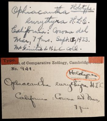 Media type: image;   Invertebrate Zoology OPH-941 Aspect: labels